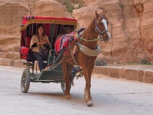 Traditional carriage ride for those not wanting to hike through the Siq