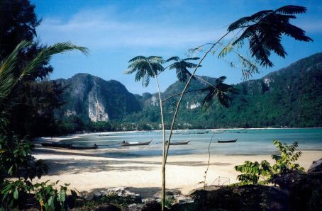 The beach at Phi Phi