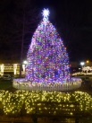 The Square in Collierville by Night